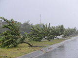 На юге Японии более тридцати человек пострадали из-за тайфуна