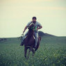 В Чечне будет своя порода лошадей, заявил и.о. главы Республики Рамзан Кадыров