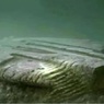 Обнаруженный на дне Балтийского моря «инопланетный корабль» поставил ученых в тупик