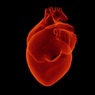 Кардиологи: проживание рядом с шоссе или аэропортом увеличивает риск инфаркта