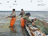 Кабмин утвердил правила для границ рыболовных участков