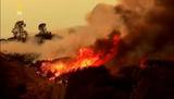 В Забайкалье объявлен режим повышенной готовности из-за пожаров