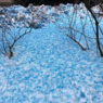 Снег синего цвета выпал в Санкт-Петербурге