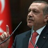 Эрдоган назвал дату запуска "Турецкого потока"