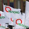 «Яблочники» хотят провести акцию за отставку Кадырова