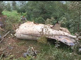 В Непале найдены обломки пропавшего самолета, 18 человек погибли