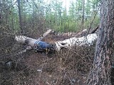 Обнаруженный в Туве Ми-8 практически полностью сгорел