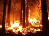 В пострадавшей от наводнения Иркутской области введён режим ЧС из-за лесных пожаров