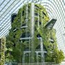 В Сингапуре появился самый высокий в мире вертикальный сад