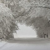 Труп пенсионера месяц пролежал под снегом в Орловской области