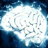 Ученые выяснили, что поможет омолодить мозг