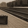 Пенсионерка из Кемерова промышляла кражей чемоданов на вокзале в Москве