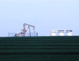 Новак увидел "зелёные ростки увеличения спроса" на рынке нефти