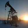 Путин дал старт нефтедобыче на самой северной скважине арктического шельфа