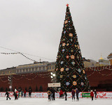 На Соборной площади Кремля установили главную елку страны