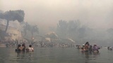 Опубликовано видео, как в Греции люди пытаются спастись в море от пожаров