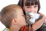 Живущие в кошках паразиты могут причинить вред детскому мозгу
