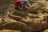 Археологи нашли берестяную грамоту в Москве на территории Зарядья