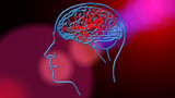 Учёные обнаружили область мозга, связанную с «духовными переживаниями»