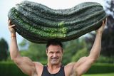 Генетики открыли способ получения гигантских овощей