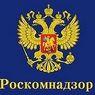 Роскомнадзор зарегистрировал 131 блогера в качестве СМИ
