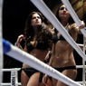 Россия может принять чемпионат мира по боксу среди женщин