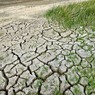 Эксперты: глобальное потепление нанесёт непоправимый ущерб экосистемам планеты