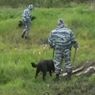 В Смоленской области ищут пропавшего в лесу 91-летнего ветерана