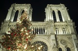 Во Франции загорелся еще один крупнейший готический собор - Святых Петра и Павла в Нанте