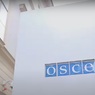 Комитет СФ по международным делам предлагает приостановить участие в работе ОБСЕ