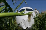 Пилотам, посадившим самолёт на кукурузное поле, присвоено звание Героев России
