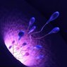 Ученые создали первые сперматозоиды на дистанционном управлении