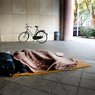 Венгерским бездомным наказано не высовываться