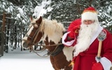 Ивановский Дед Мороз заморил лошадь громкой музыкой насмерть