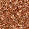 Учёные: коричневый рис способен предотвратить развитие болезни Альцгеймера