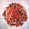 Исследователи назвали причины развития некоторых типов рака