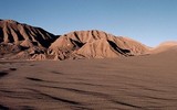 Зацвела самая засушливая пустыня в мире - Атакама