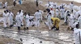 В Анапе решили приостановить сбор туристического налога