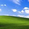 Самый известный пейзаж Windows XP может исчезнуть