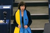 Депутату ЕП Хармс пригрозили уголовной ответственностью в России
