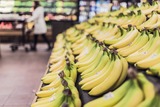 Эквадор направит делегацию в РФ для обсуждения проблемы с поставками бананов