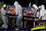 СМИ: Женщина с подозрением на Эболу госпитализирована в Италии
