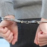 В Подмосковье задержали более 30 участников криминальной сходки