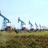 Россия установила рекорд по добыче нефти