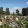 Под Воронежом неизвестные раскопали могилу женщины