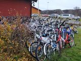 СМИ: Норвежская полиция собирает велосипеды для отправки беженцев в РФ
