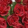 В ночь на 8 марта неизвестные украли все розы из цветочного магазина в Риге