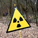 В Белоруссии открыли для туристов зону отчуждения Чернобыльской АЭС