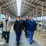 Губернатор Подмосковья открыл новый животноводческий комплекс «Бортниково» в Ступине