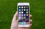 Корпорация Apple признала наличие дефекта в iPhone 6 Plus
